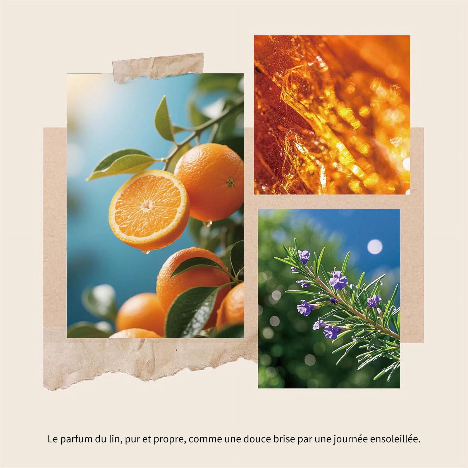 Saussavita Profumatore per Ambienti Agrumi, 210 ml Diffusore Profumo Ambiente con Bastoncini di Fragranza, 120 Giorni di Lunga Durata, Profumo per Casa, Ufficio e Bagno, Decorazione Della Casa