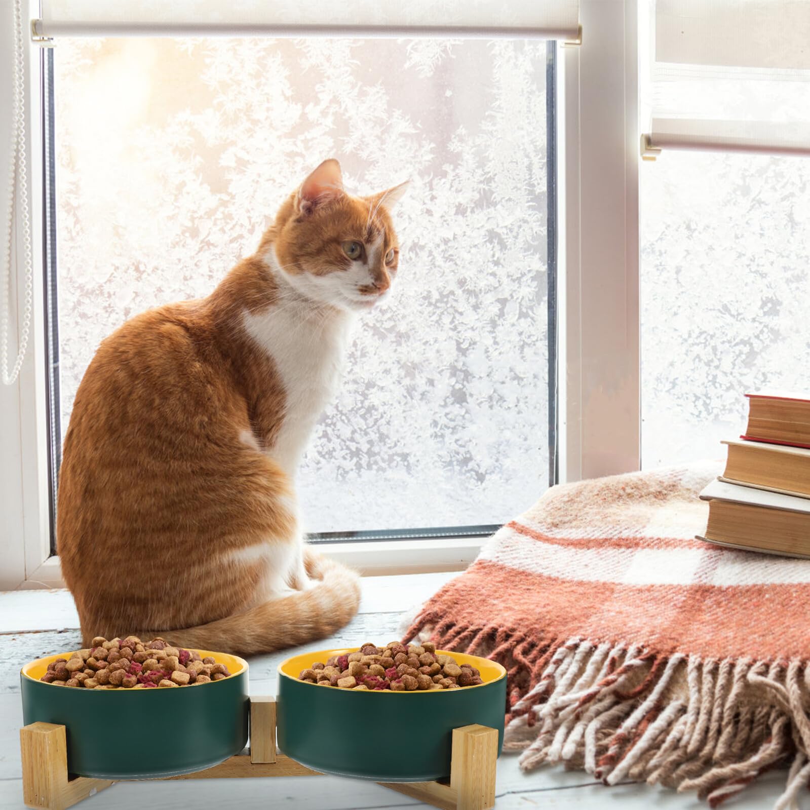 Gamelle Double en Céramique avec Support en Bois, Facile à Nettoyer et Anti-débordement, pour Chatons et Animaux de Compagnie en Toute Occasion
