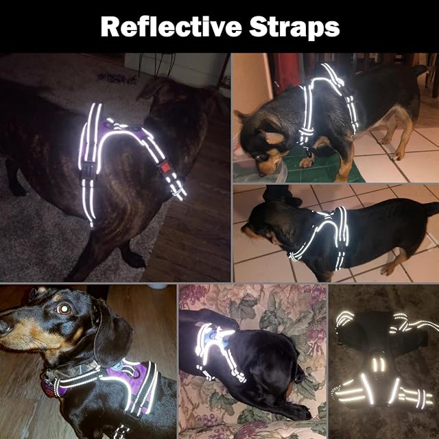 Foto 5 de 7 de PHOEPET Arnés para Perros sin tirón para Perros pequeños