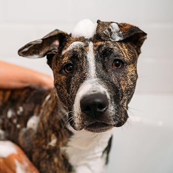 Unite Hair - Doggy 'Poo Shampoo - Hydrating Shampoo that Soothes Skin and Adds Shine to Your Dogs Coat - Ideal for All Dog Types, 16 Fl Oz