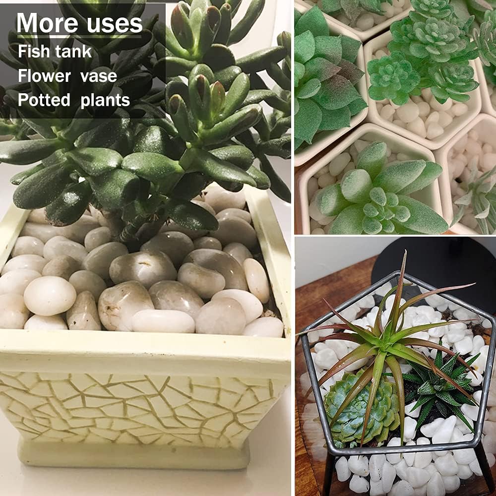 Anothera 7 LB 1/2"-1" Fine Polished White Pebbles for Plants Natural River Rocks, Garden Walk Stones Outdoor Gravel Fish Tank Vase Decorative : Garden & Outdoor