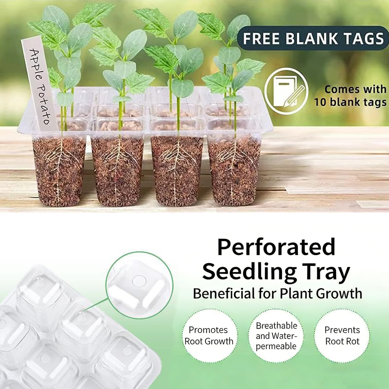 Vassoi per semina (12 celle per vassoio), kit di germinazione delle piante regolabile per l'umidità, mini propagatore a effetto serra con cupola(5 confezioni con luci)