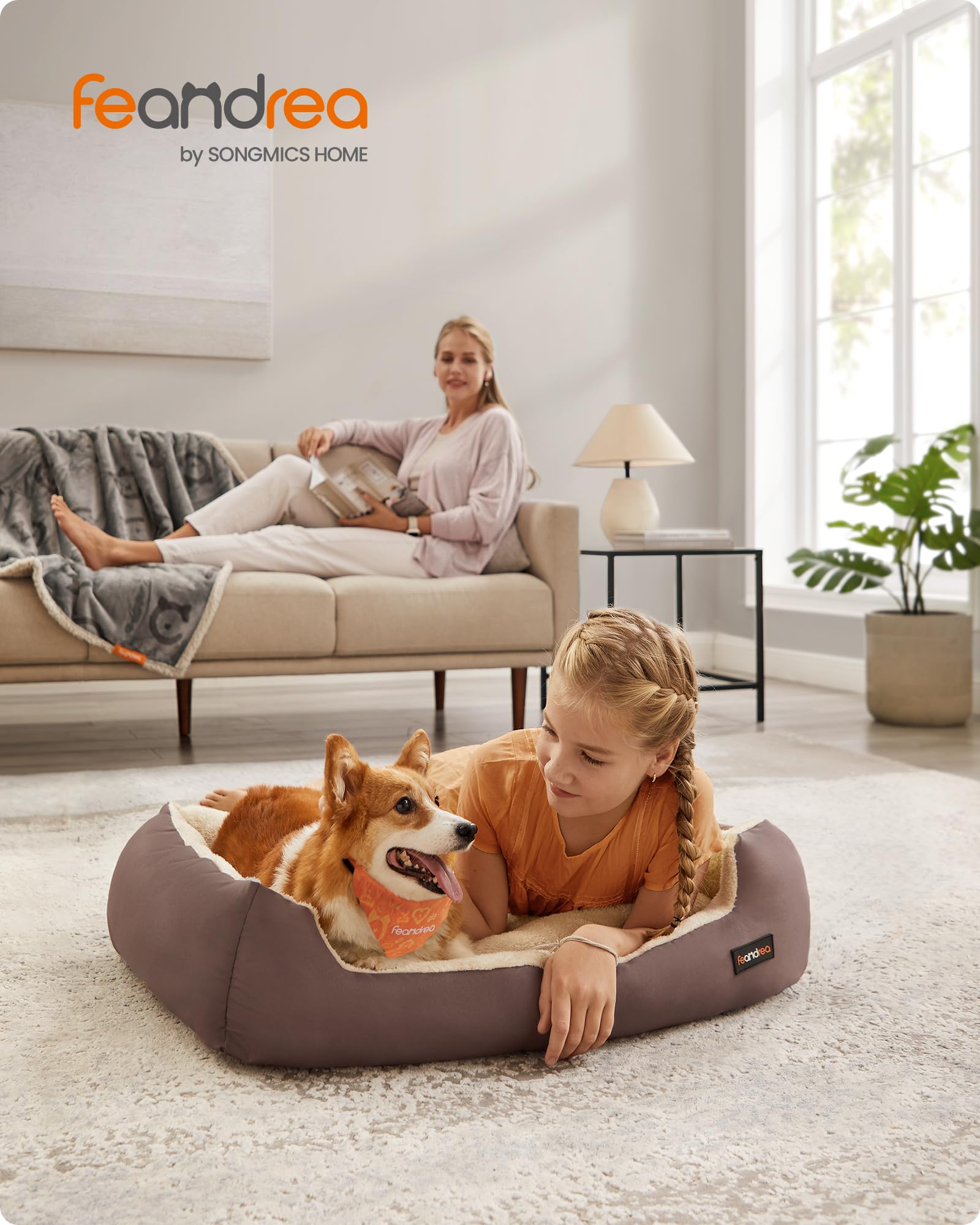 Cucciolo Abbandonato In Una Gabbia Rotta: Con Lui Un Biglietto Straziante - Foto 2