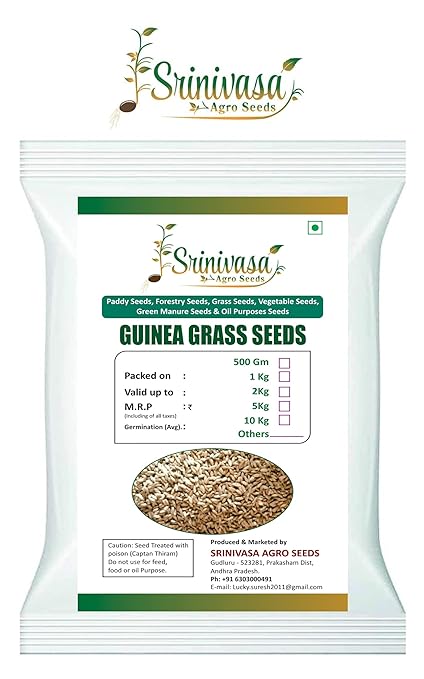 Srinivasa Agro Seeds Guinea Grass Seeds, 5 kg