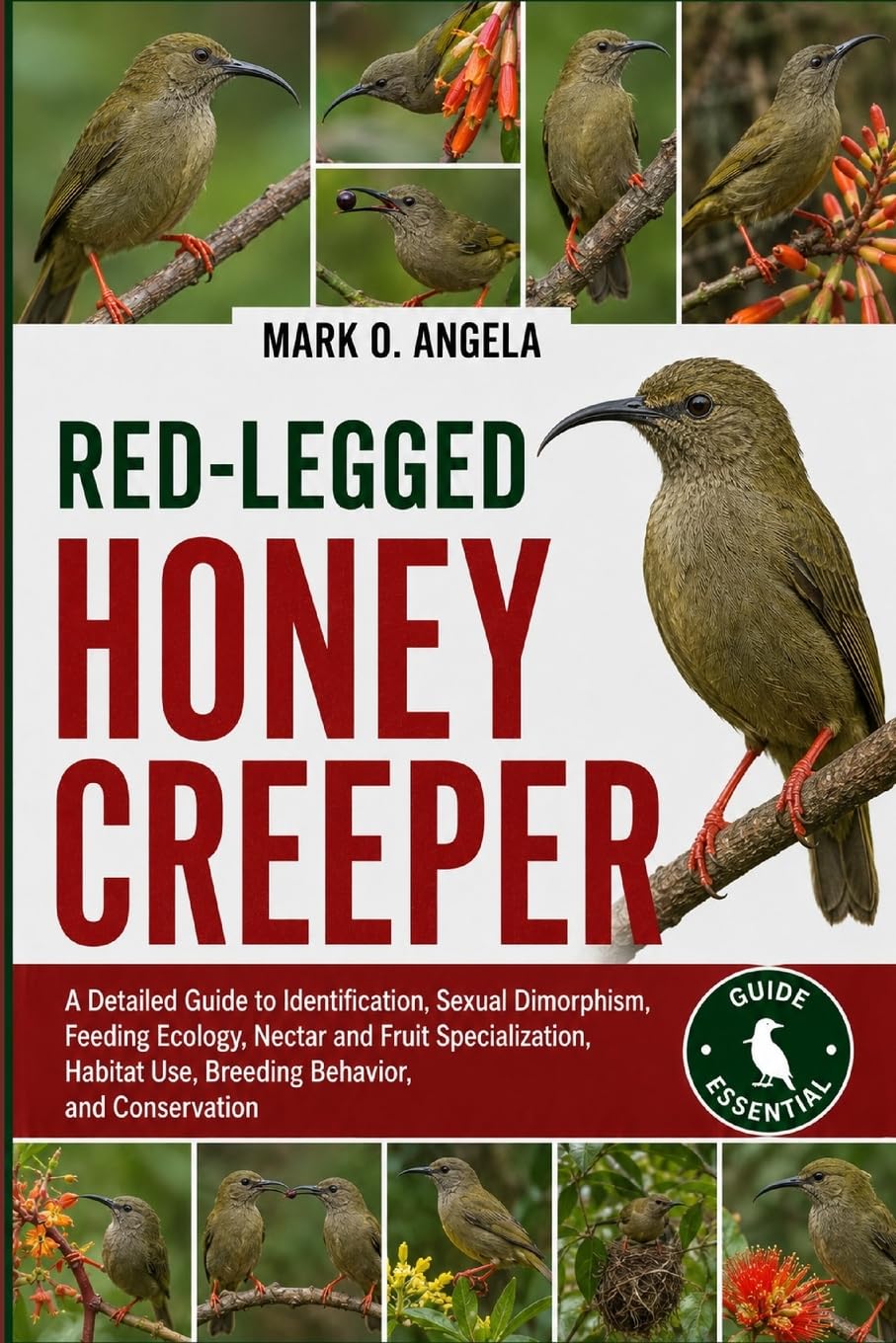 RED-LEGGED HONEYCREEPER: A Detailed Guide to Identification, Sexual Dimorphism, Feeding Ecology, Nectar and Fruit Specialization, Habitat Use, Breeding Behavior, and Conservation