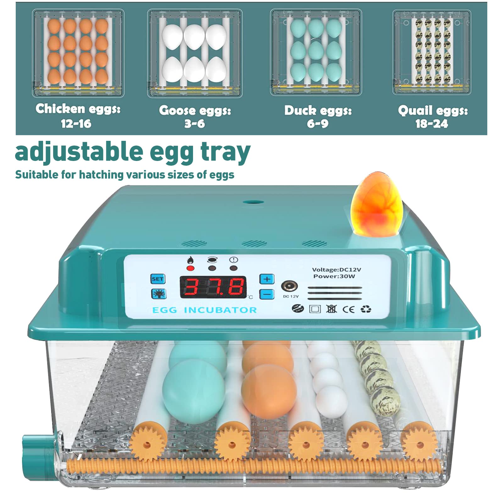 WMLBK Incubadora totalmente automática para pollos, con sistema de rotación automático y control de temperatura, incubadora de huevos para 12-16 huevos (16)