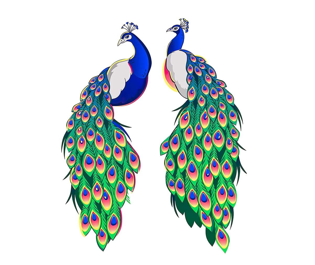 Akki World Two Peacocks Wall Sticker for Living Room, Bedroom, Kids Room, Office, Class Room (Size - 58 Cm X 66 Cm) (B0BXCW7XDW) Amazon Price History, Amazon Price Tracker