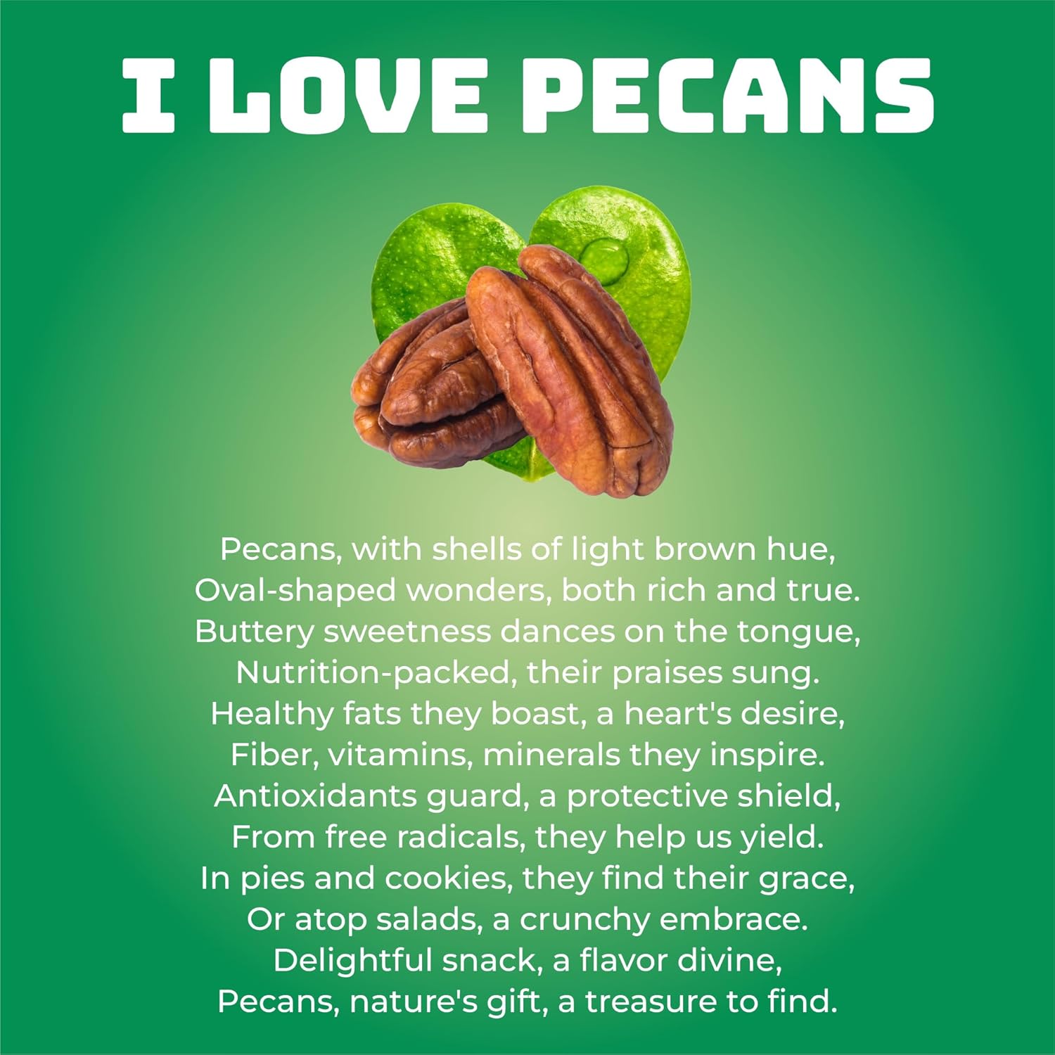 Covered Pecan Halves Candy Deliciously Decadent - Kosher Certified - 3 Bags, 5 oz. Each (Halva)