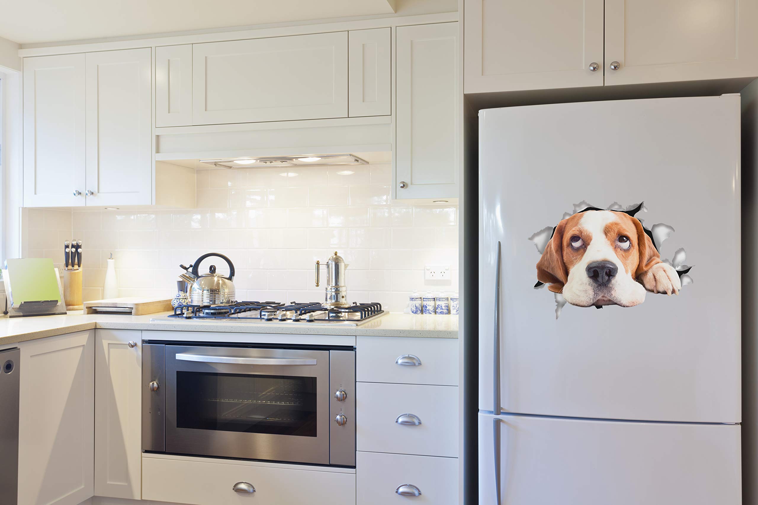 Winston & Bear 3D Cat Stickers - 2 Pack - Hopeful Beagle Decals for Wall - Stickers for Bedroom - Fridge - Toilet - Room - Retail Packaged