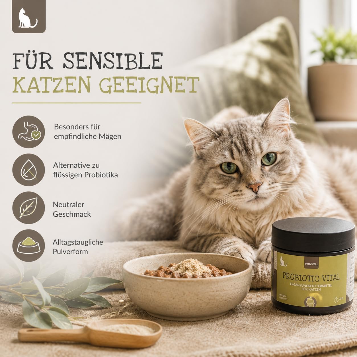 Probiotic Vital Katze - Probiotika & Präbiotika Pulver für Katzen 75g – Unterstützt die Normale Verdauung – Nur 1 Bakterienstamm & Ballaststoffe - Mit Tierärzten in Deutschland entwickelt