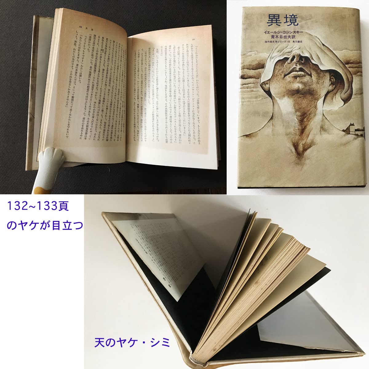 Amazon.co.jp: 希少2冊『異境』『庭師 ただそこにいるだけの人 