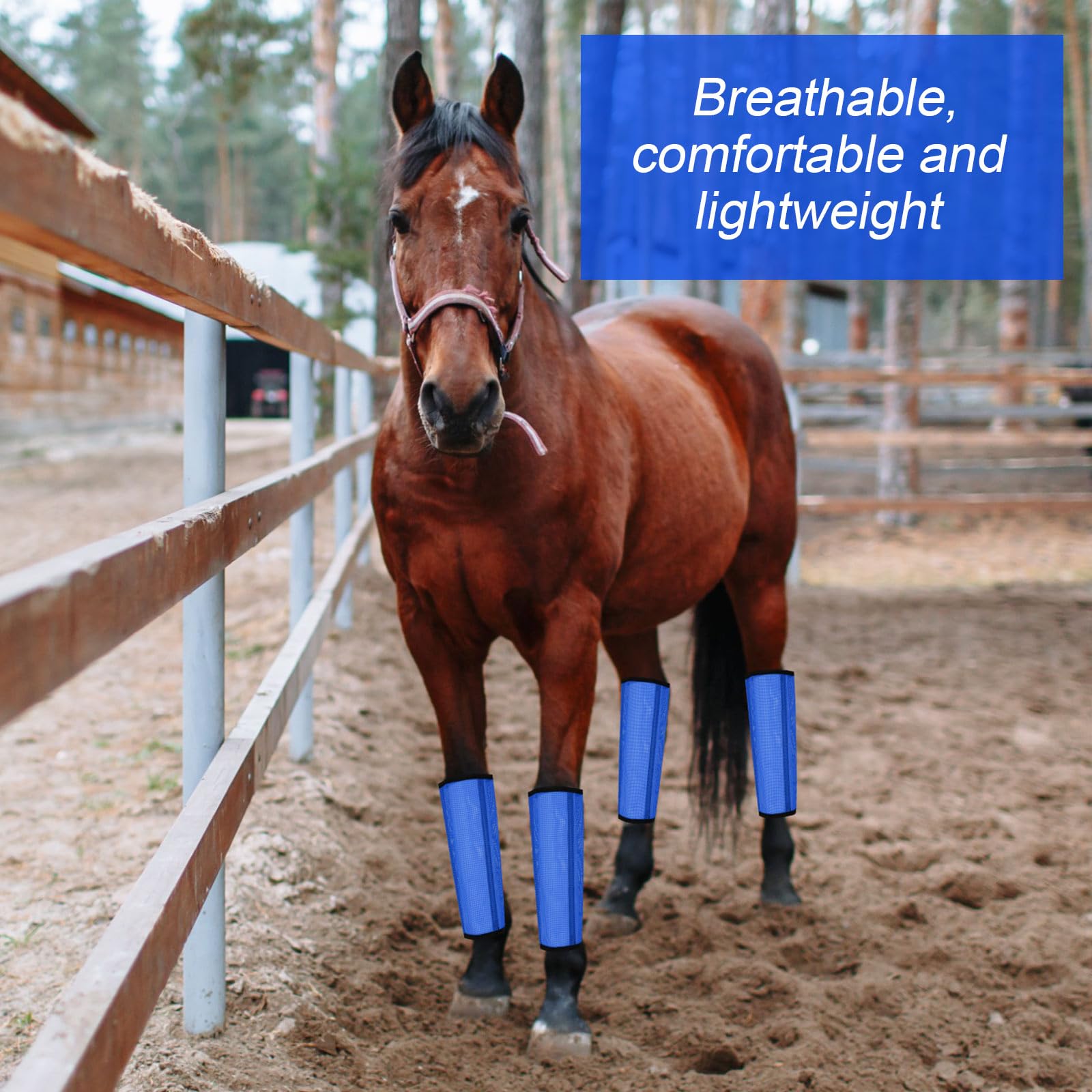 8 Pcs Mesh Fly Boots for Horse Breathable Mesh Horse Boots Protective Horse Leg Wraps Horse Leggings for Preventing Flies and Mosquitoes Bites (): Dark Blue, Sky Blue