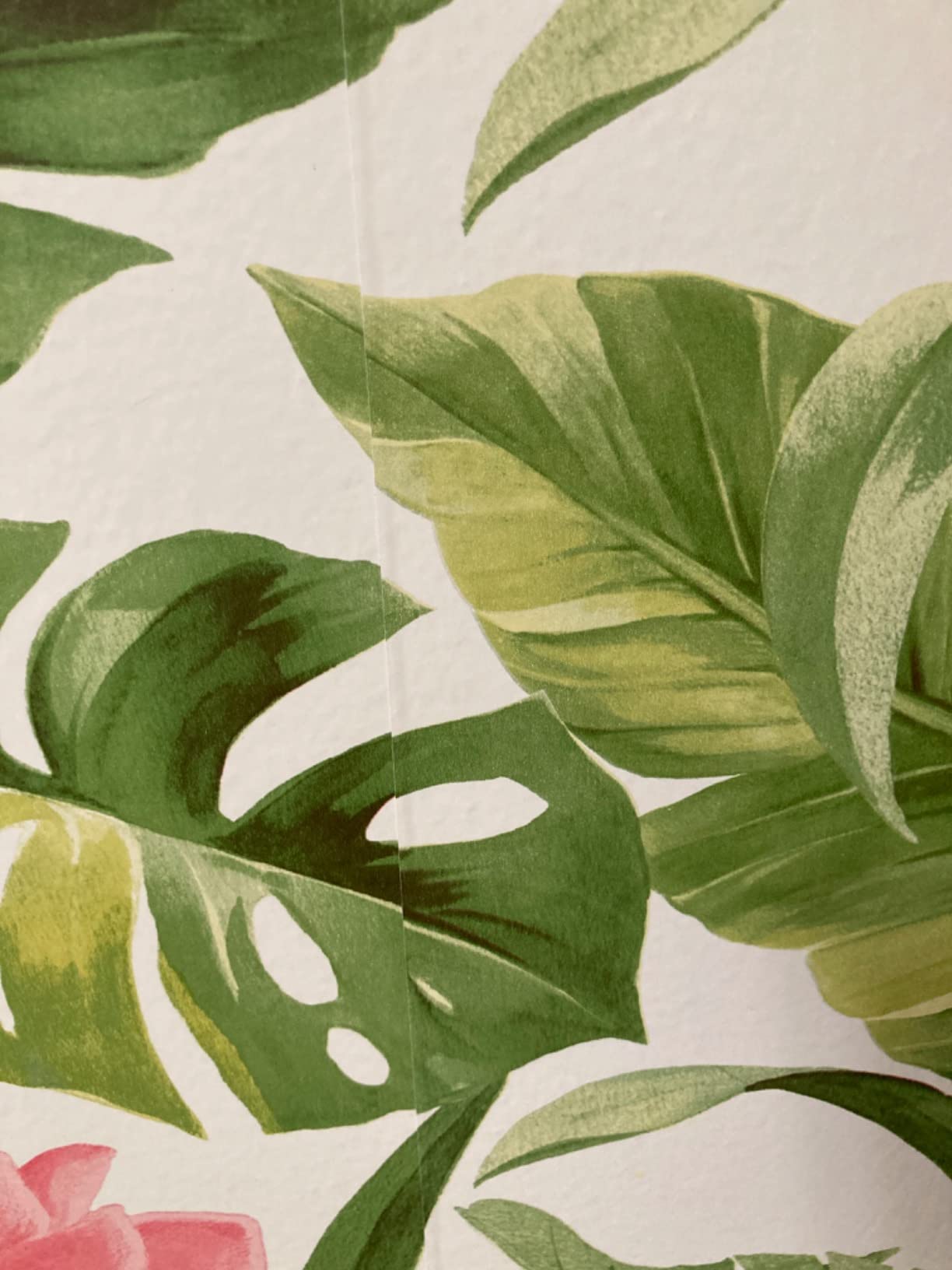 6/mo Finance NuWallpaper NU2927 Neutral Paradise Peel & Stick