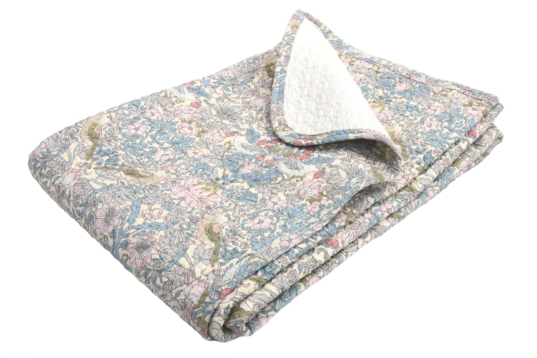 Amazon｜ロマンス小杉 公式 ねむりのアトリエ V＆A いちご泥棒