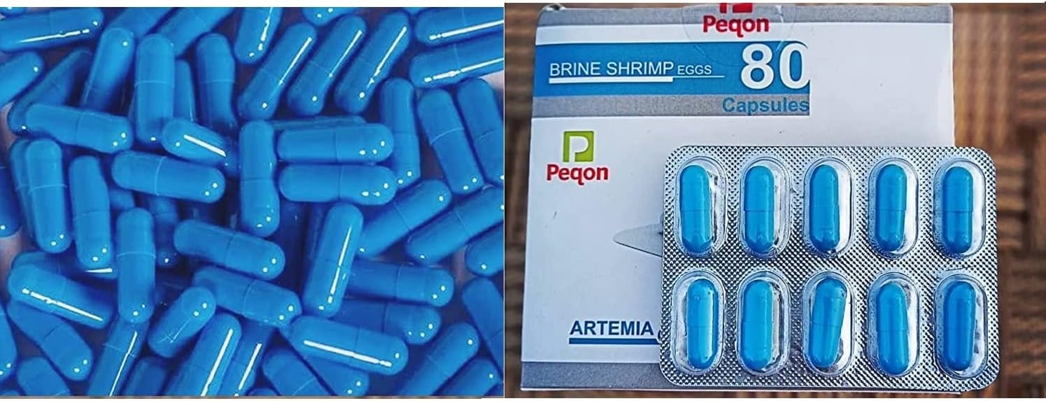 SANSEFERO Premier Plants Peqon Artemia Cysts Brine Shrimp Eggs With Hatching Rate 95%(10Capsules), Baby