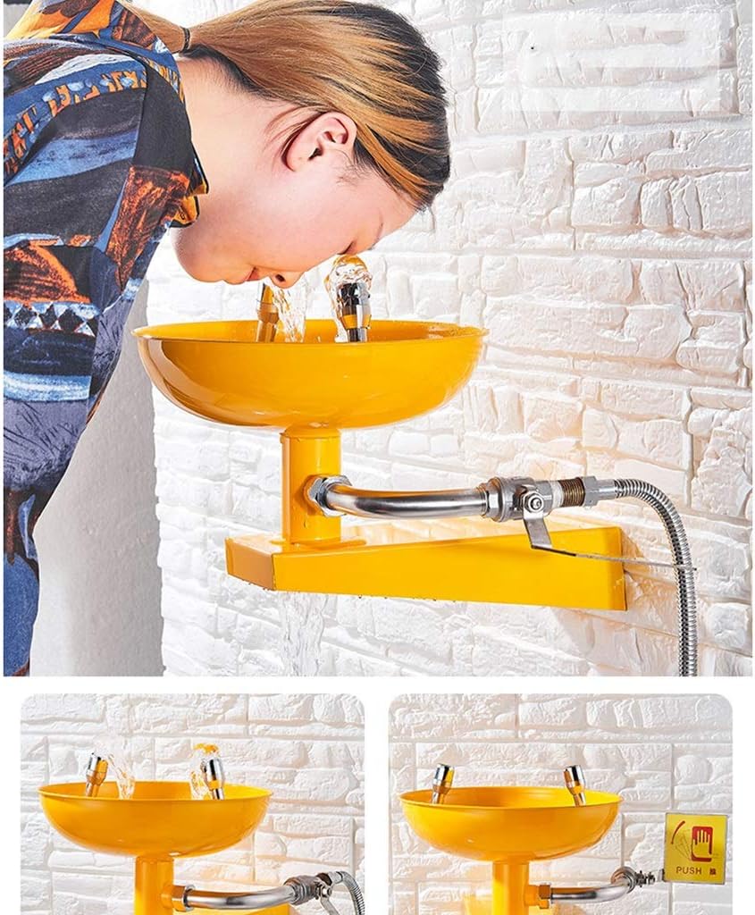 Wall-Mounted Emergency Eyewash, Eye Wash Station Security Stainless Steel Eye Wash Equipment, 12L/min Faucet Eye Wash Bowl, Style 2