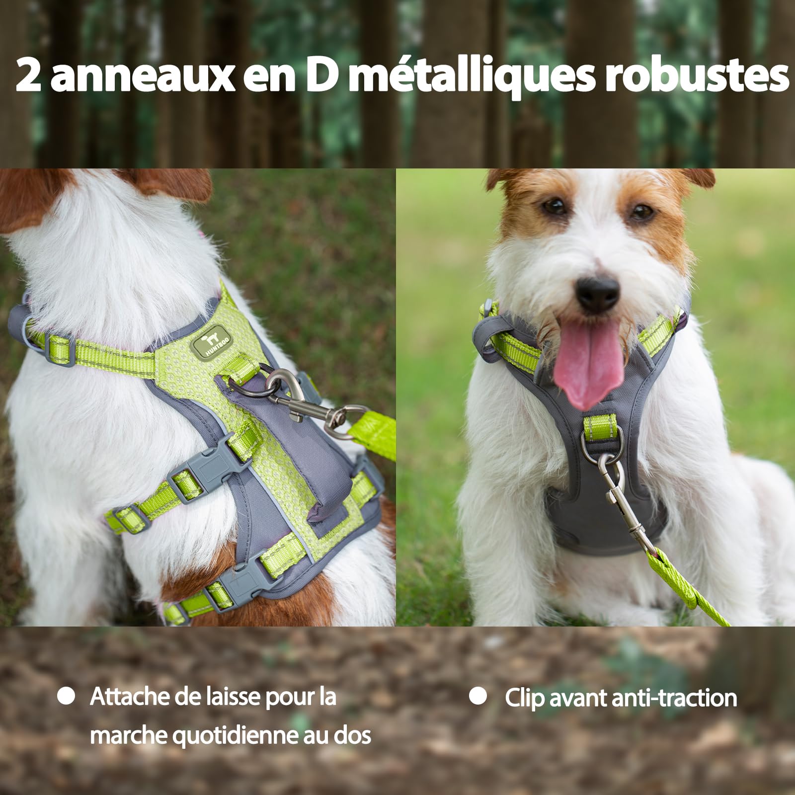 Huntboo Harnais Chien Petite Taille, Réfléchissant Harnais Anti Fugue Chien, Harnais Chien Anti Traction avec Poignée, Respirant, Harnais Réglable pour Chiens Moyens et Grands (Vert Vif,S)