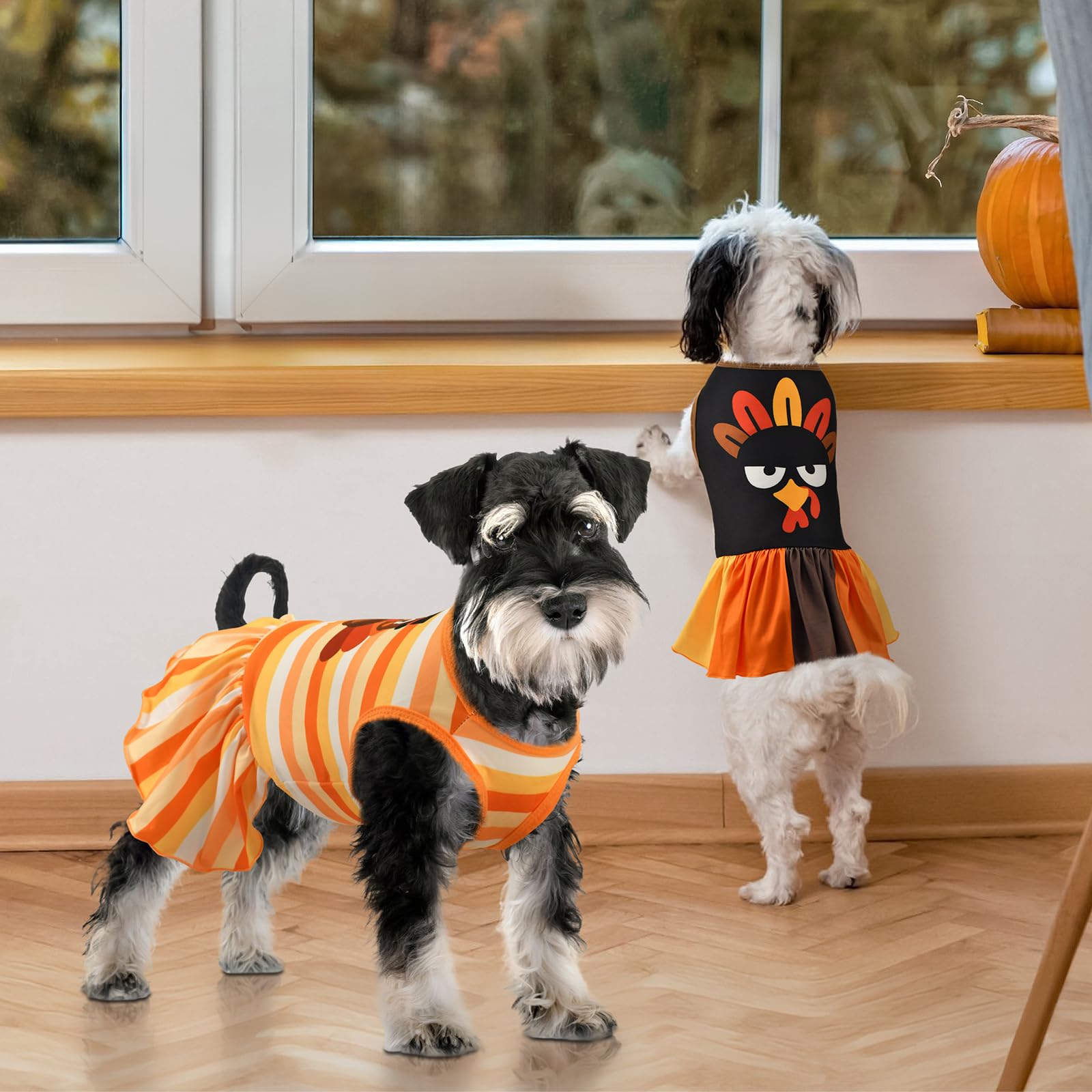 Amazon.com : Vehomy 2-Pack Thanksgiving Dog Cat Dress - Turkey & Stripe Dog Dresses, Puppy Skirt - Small & Medium Sizes : Pet Supplies Amazon.com : Vehomy 2-Pack Thanksgiving Dog Cat Dress - Turkey & Stripe Dog Dresses, Puppy Skirt - Small & Medium Sizes : Pet Supplies