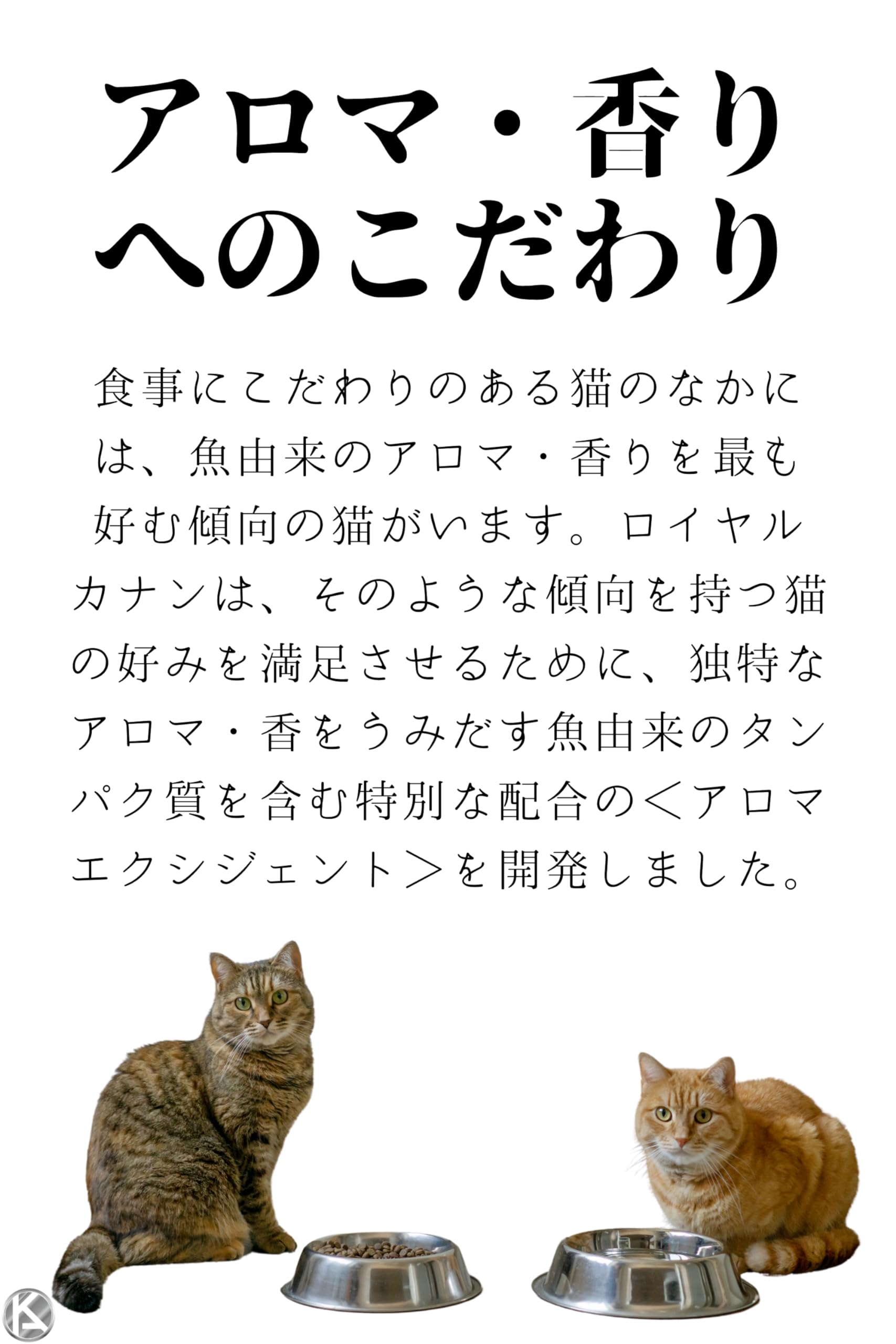 Amazon | ロイヤルカナン アロマ エクシジェント [ 400g 1袋 ] 食事 に