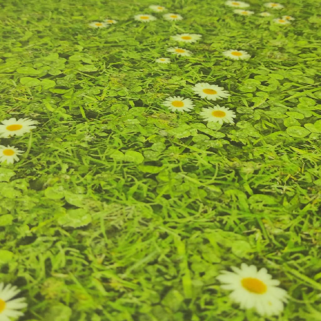 Tadi & Imperio1979 Tapis Vinyle imprimé Fleurs avec Gazon numérique pour Salon, Cuisine, Salle de séjour, entrées, Chambre à Coucher avec Dos PVC antidérapant.