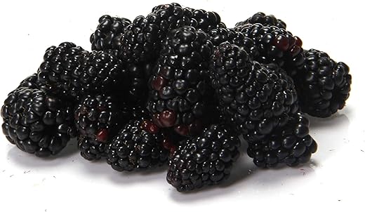 Blackberries, 6 oz
