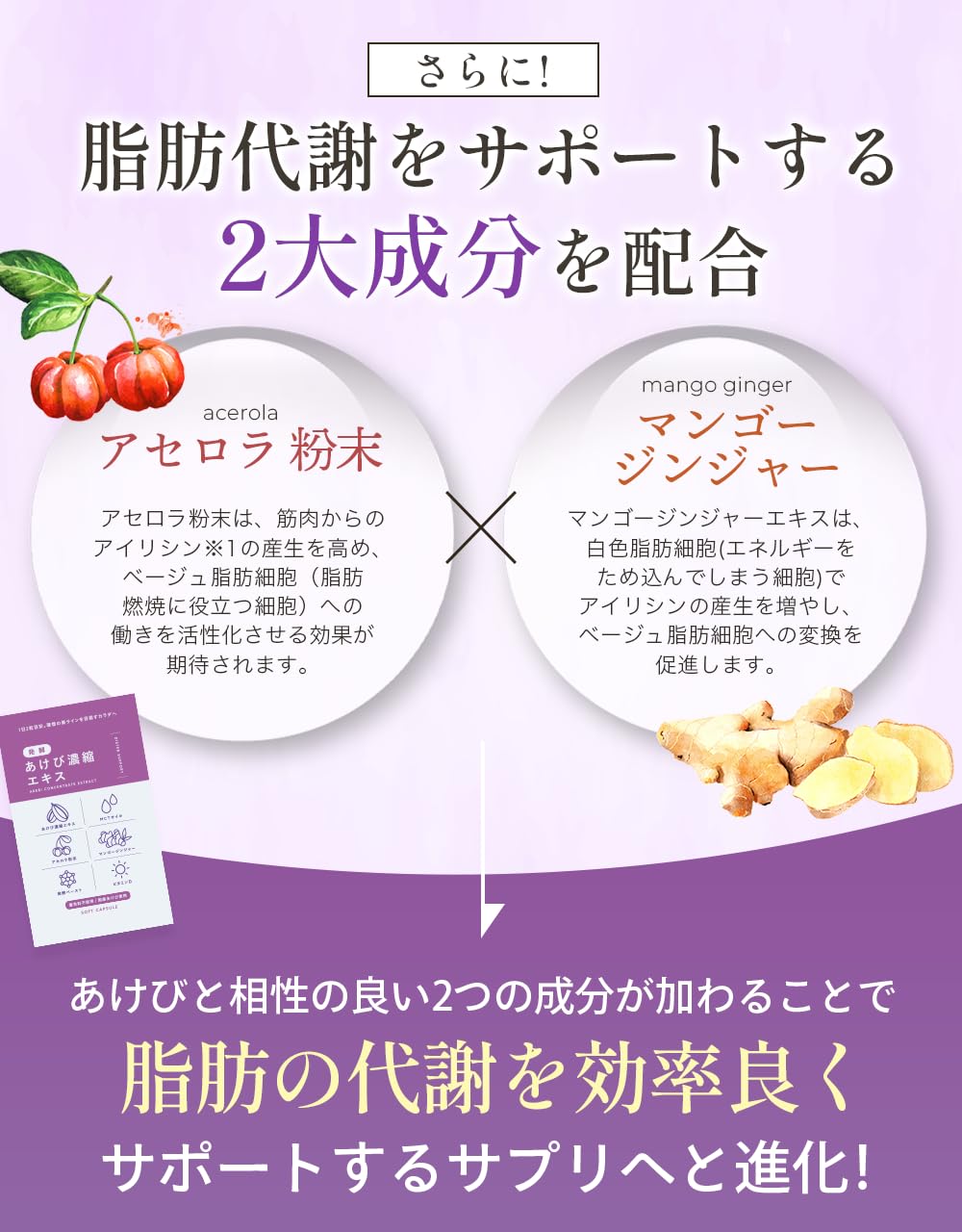 Amazon | 【国産】あけび濃縮エキス サプリ サプリメント 30日分 発酵