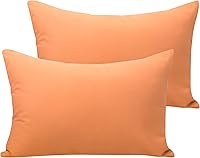 Vista 20 de NTBAY Juego de 2 fundas de almohada con cremallera para niños pequeños, fundas de almohada de microfibra cepillada 100% de 13x18 pulgadas, súper