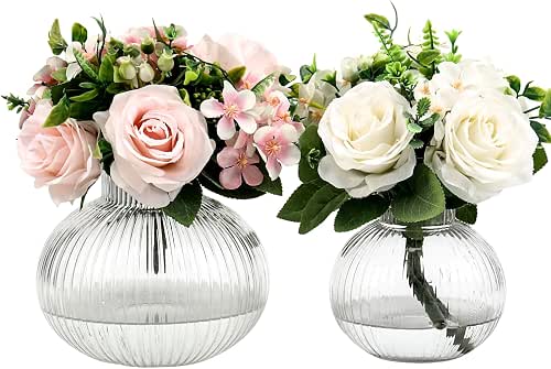 Round Glass Vases Set of 2, Flower Vases for Bouquet,