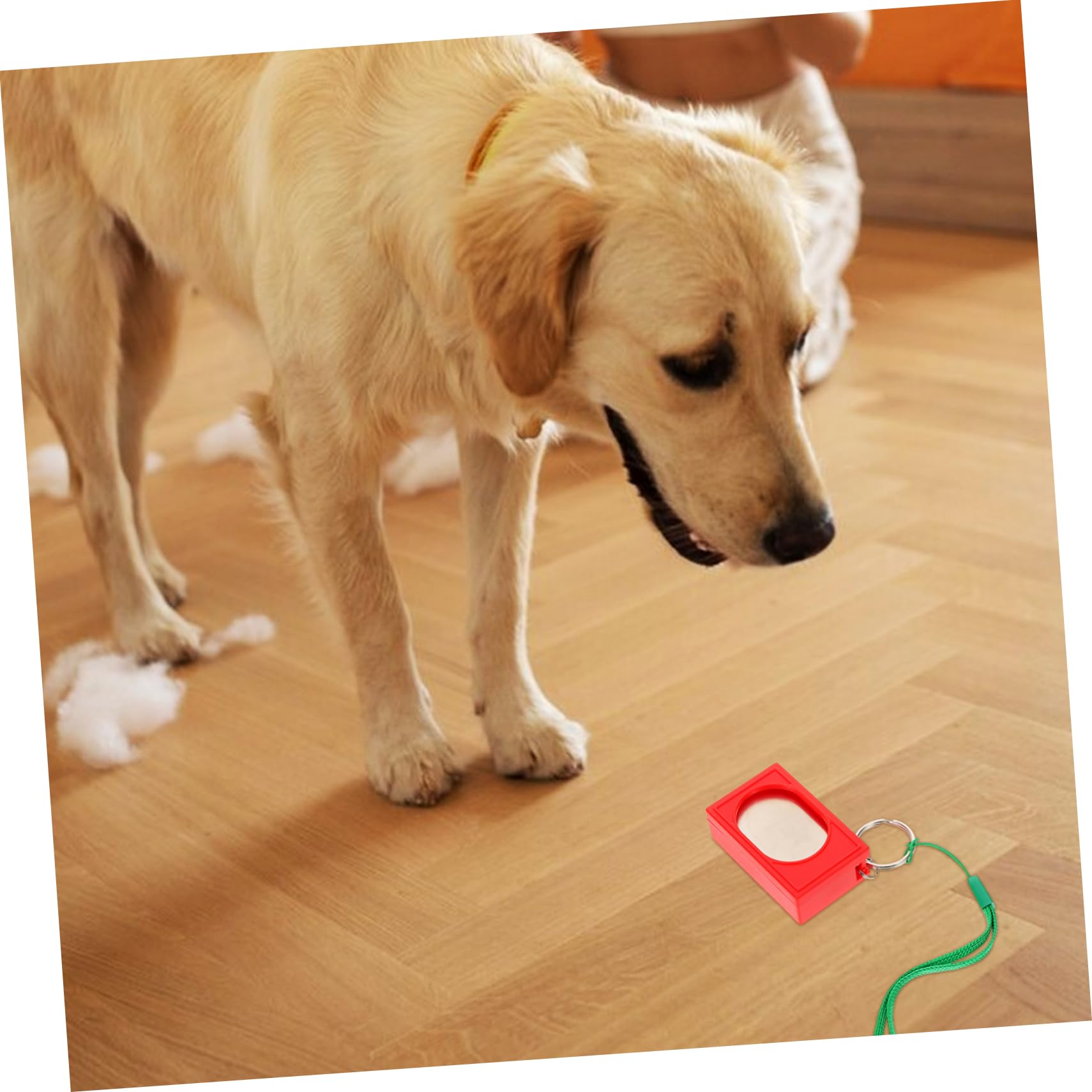 HANABASS 10stücke Hunde Trainings Clicker Effektives Verhaltenskorrektur Für Hunderassen Für Und Hunde Und Praktisch Für Erfolgreiches Hundetraining