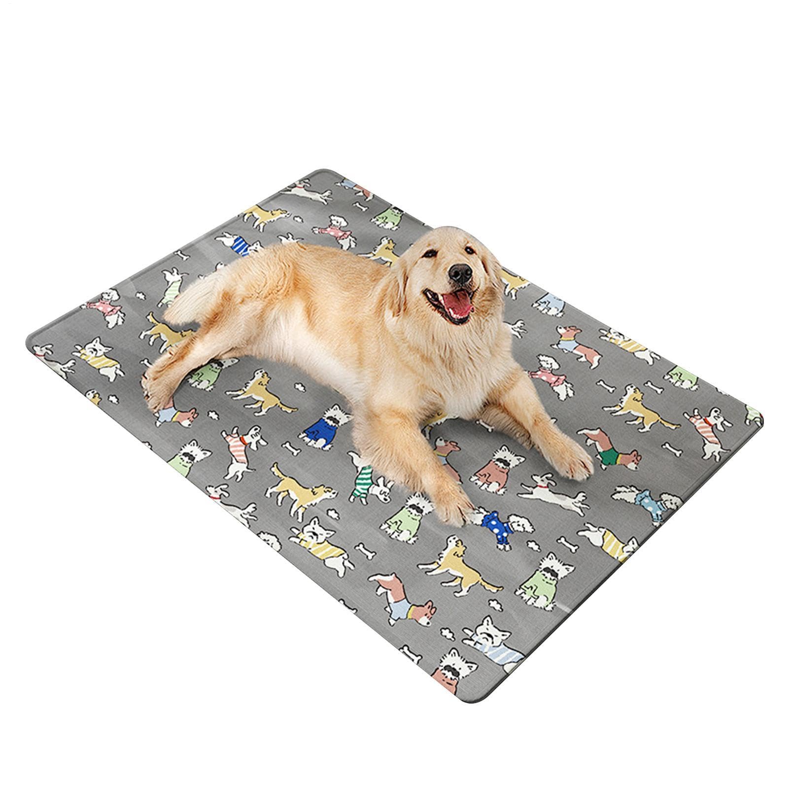 Tapis rafraîchissant chien et couverture antidérapante