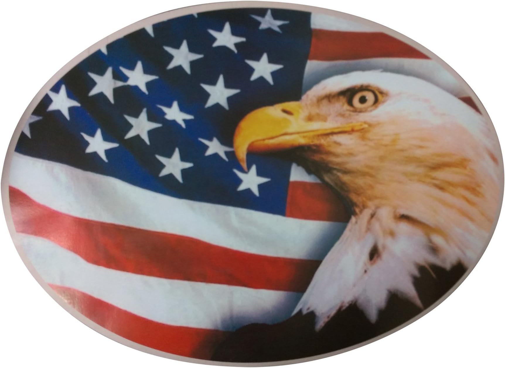 Gun Safe Art Magnet Large (15.75 x 11.75 inch)