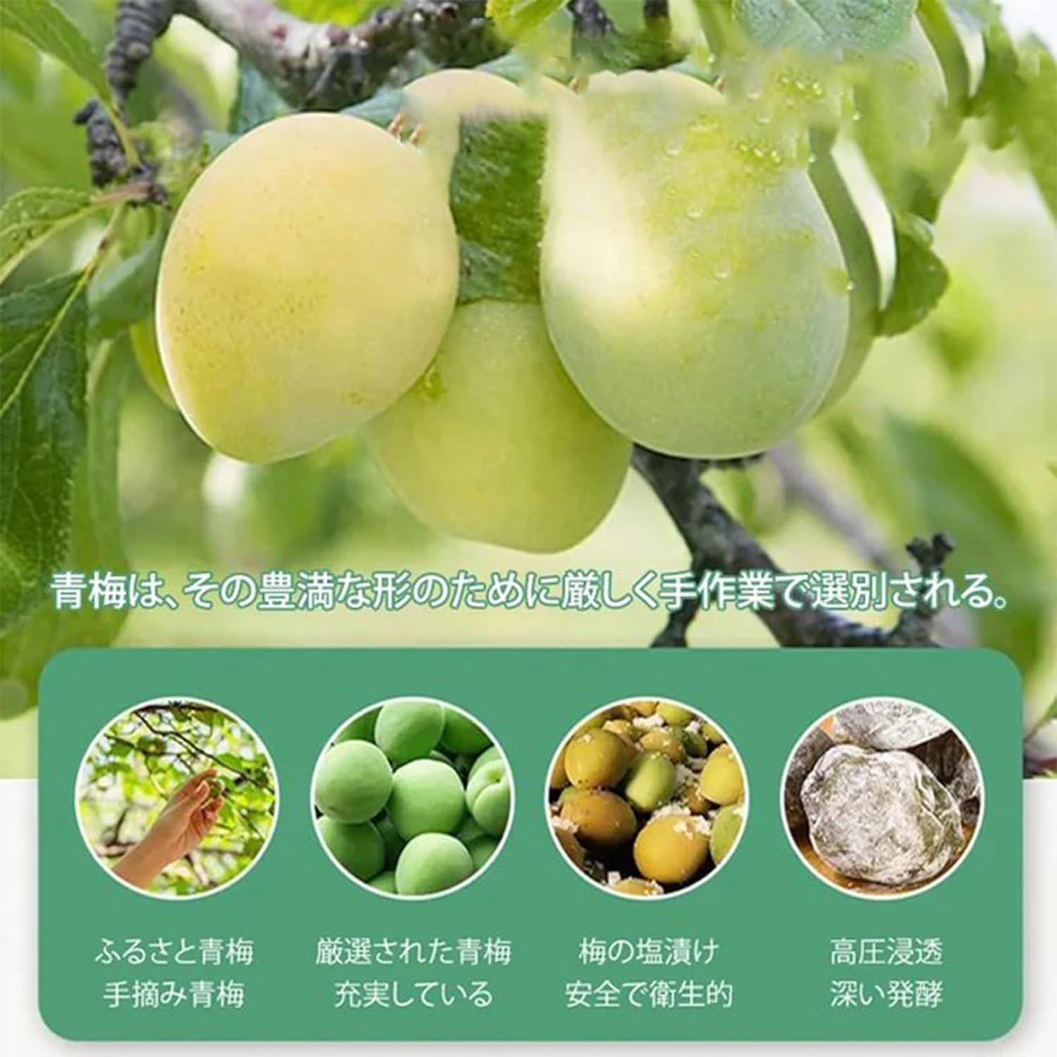 Amazon | 酵素青梅干し 30/40/60/80粒 強化青梅干し 梅干し 無添加