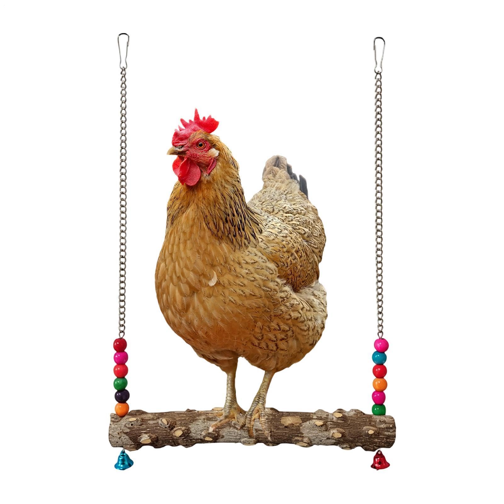 Altalena per polli da pollaio,Giochi in Legno con Campanelle - Giocattoli Per Gabbia E Pollaio Per Galline - per Arrampicarsi e Masticare Galli Pappagalli Polli Gabbia Recinto Giardino da Esterno
