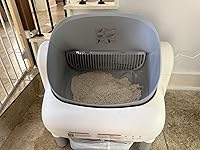 Review Image by Lincoln Lincoln