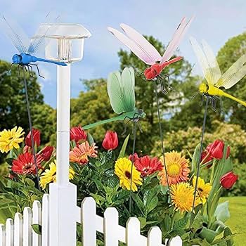 花 ドーム入りアレンジ天使のいる家オレンジのバラプリザーブド