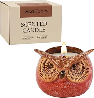 Eulenkerze Geschenk für Frauen， 350gZitrusduftkerze mit getrockneten Blumen, Weihnachtskerzengeschenkset mit 30 Stunden Brenndauer, Weihnachtskerzengeschenkset mit 30 Stunden Brenndauer