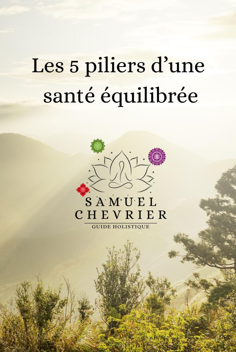 Les 5 piliers d'une santé équilibrée: par Samuel V.-Chevrier, N.D.