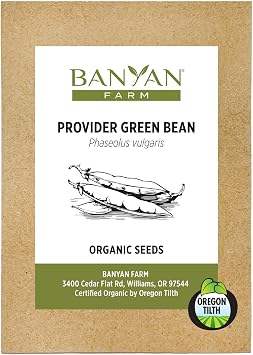 Banyan Botanicals Organic Green Bean Seeds Provider Heirloom Green Bean Seeds Early-Producing, Tender, and Crisp 100 Count Open Pollinated Non-GMO Easy to Grow