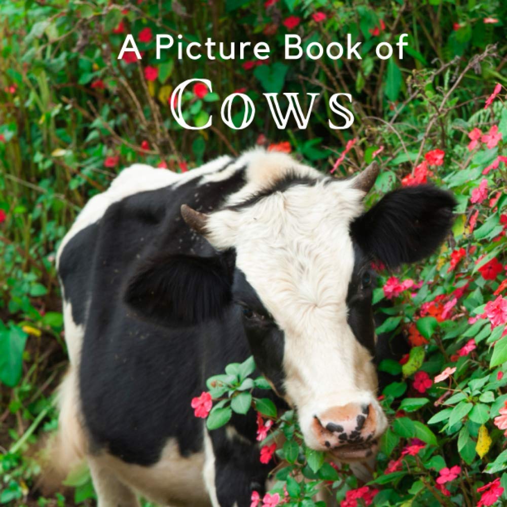 A Picture Book of Cows: A Beautiful Picture Book for Seniors With Alzheimer’s or Dementia. A Great Gift for Elderly Parents and Grandparents! (Picture Books For Seniors)