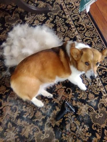 Maxpower Planet Hair Brush — top-down angle highlighting key features