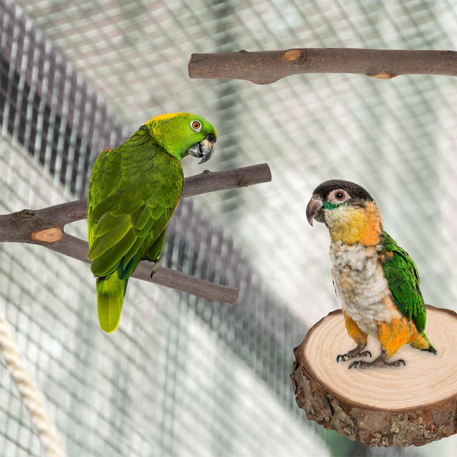 7 Pz Posatoi per Pappagalli, Posatoi in Legno per Cacatua e Parrocchetto