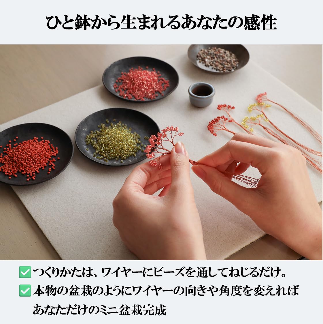 赤松小ぶり 針金成形済み Amazon.co.jp: MIYUKI（ミユキ） ネジッテBONSAIキット 『松・HCA30-1
