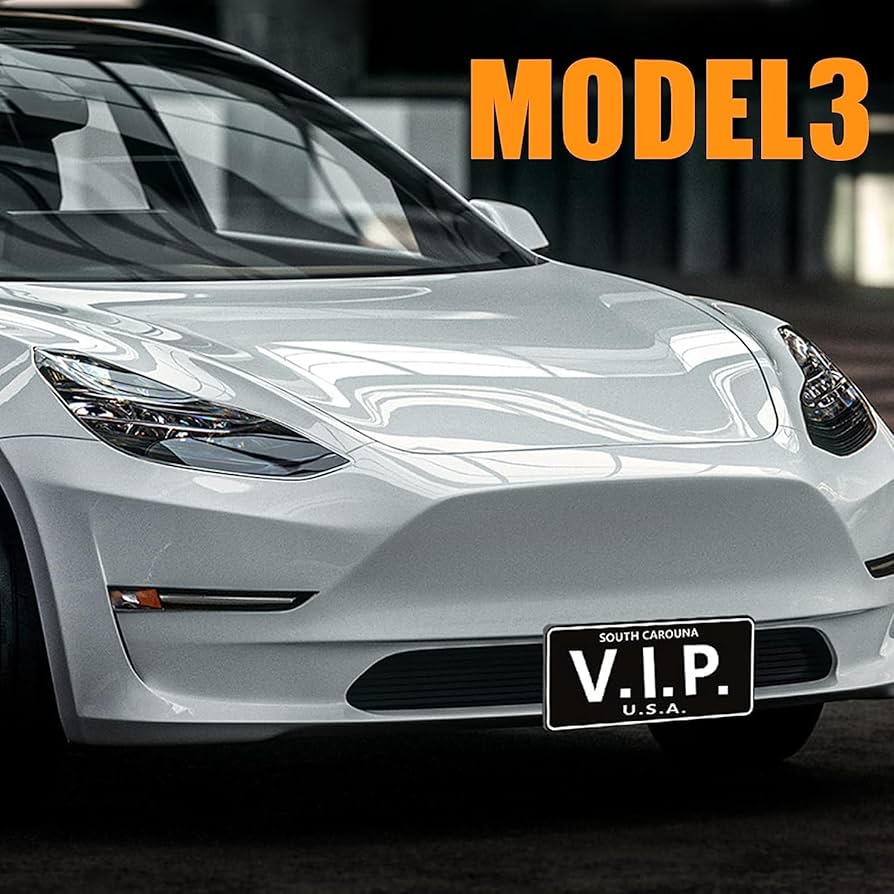 Amazon.co.jp: ドリル不要 ナンバープレートホルダー テスラ