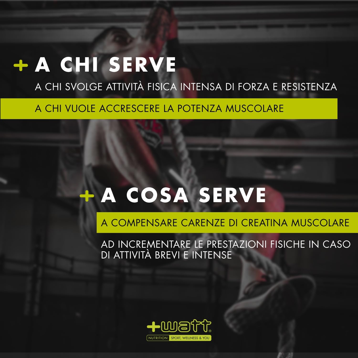 Creatina+ Compresse Extragold - Incrementa le Prestazioni Fisiche Durante lo Sforzo - Gluten Free - 100 cpr