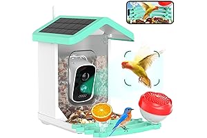 AI-Enhanced Outdoor Bird Camera: Capture the Wonders of Nature