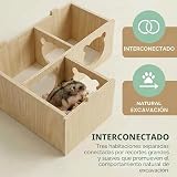 Ver la foto 5
