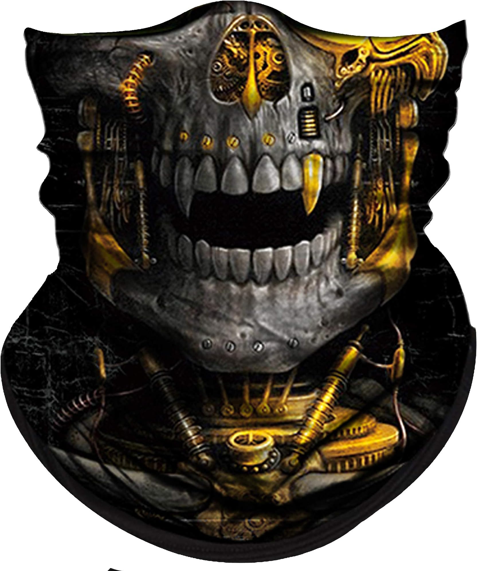 Amazon.com: Indie Ridge Motorcycle Outdoor Face Mask - Paisley ...