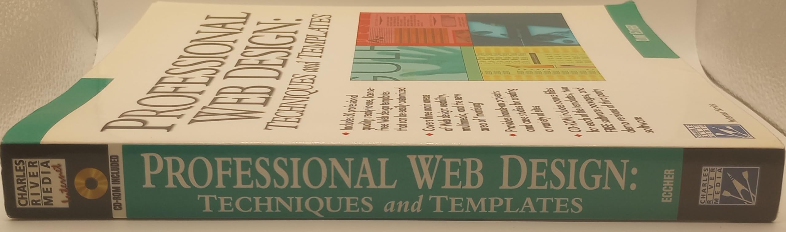 Professional Web Design: Techniques and Templates