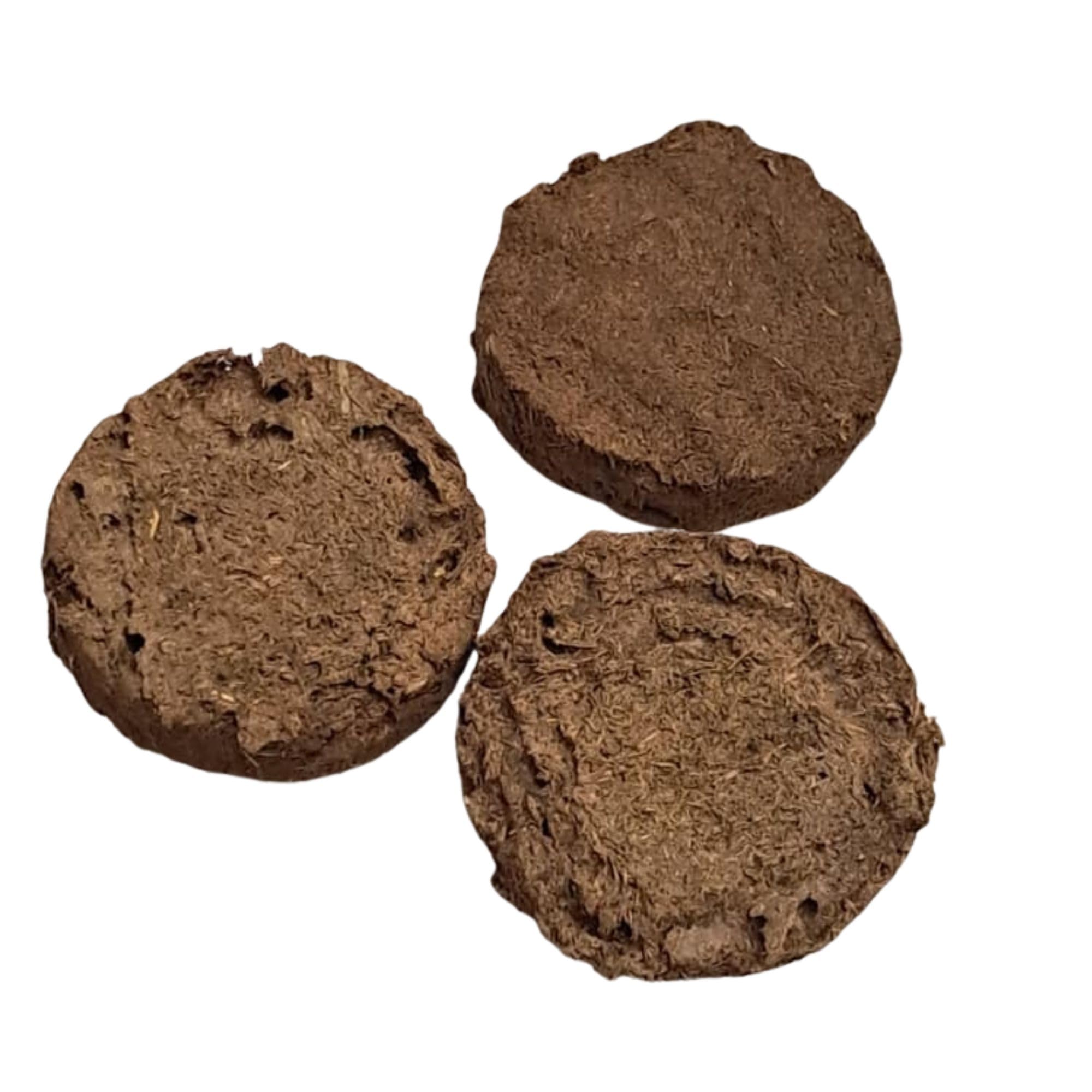Pack of 40 | Gir Cow Dung Cake (Uple) for Havan & Puja | 100% Natural & Chemical Free | Round Shape 6 cm, 1.5 cm Thick | Long Burning & Low Smoke-image-18