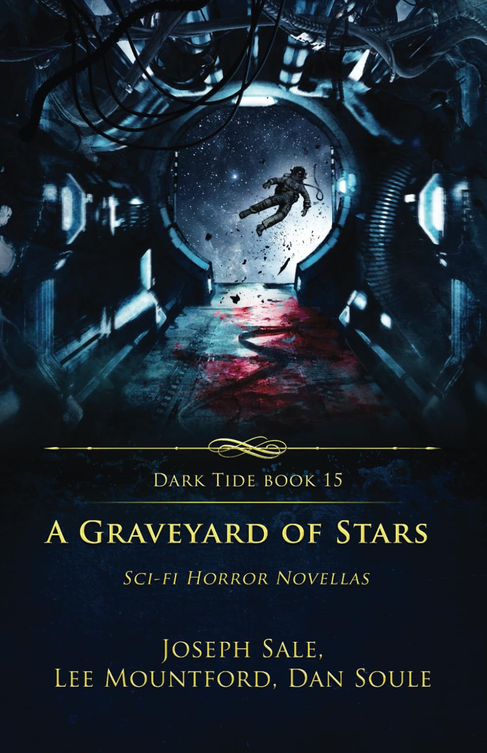 Cover of A Graveyard of Stars